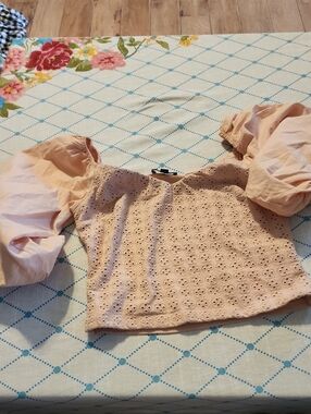Express Blush Eyelet Puff Sleeve Crop Top